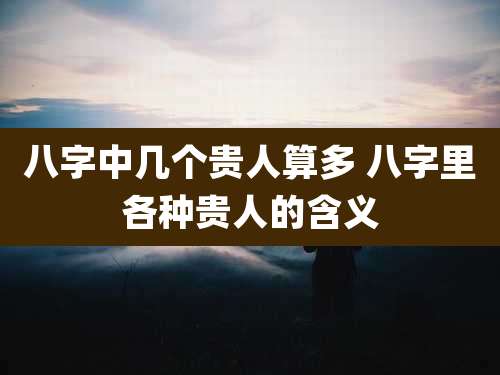 八字中几个贵人算多 八字里各种贵人的含义