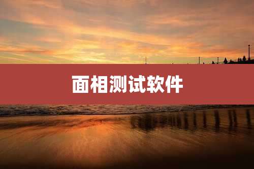 面相测试软件