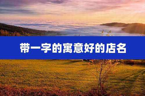带一字的寓意好的店名