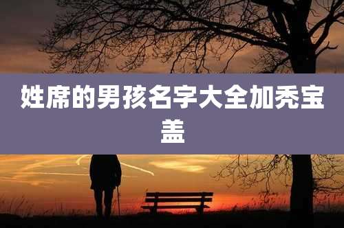 姓席的男孩名字大全加秃宝盖