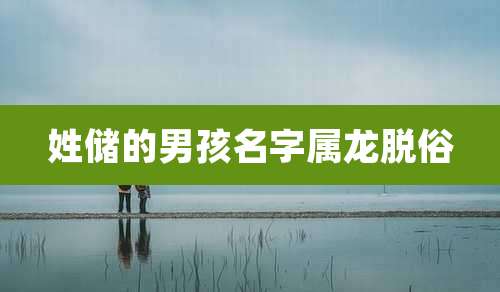 姓储的男孩名字属龙脱俗