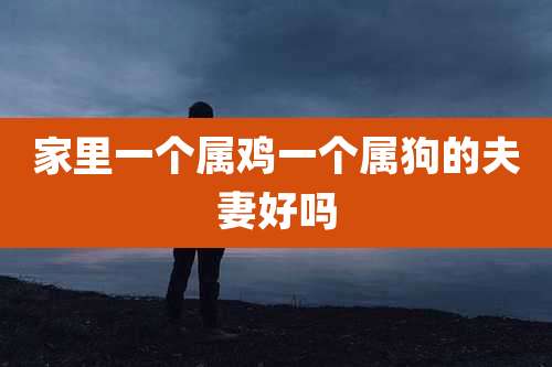 家里一个属鸡一个属狗的夫妻好吗