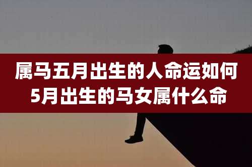 属马五月出生的人命运如何 5月出生的马女属什么命