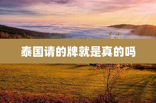 泰国请的牌就是真的吗