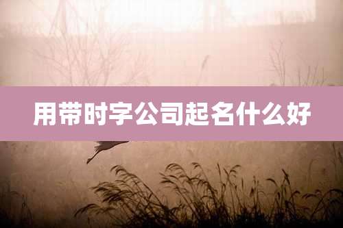 用带时字公司起名什么好