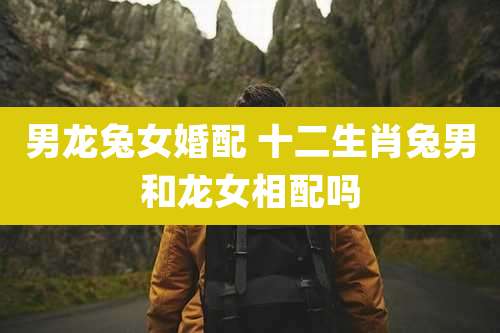 男龙兔女婚配 十二生肖兔男和龙女相配吗