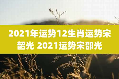 2021年运势12生肖运势宋韶光 2021运势宋邵光