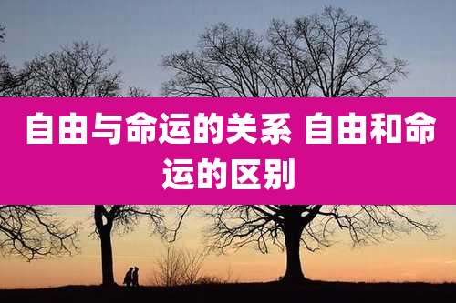 自由与命运的关系 自由和命运的区别