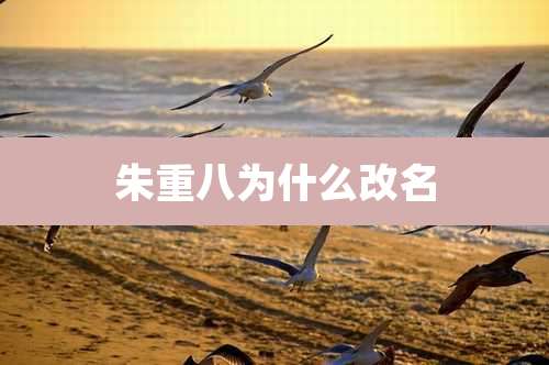 朱重八为什么改名