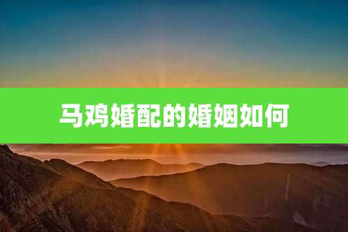马鸡婚配的婚姻如何