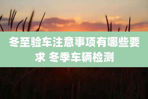 冬至验车注意事项有哪些要求 冬季车辆检测