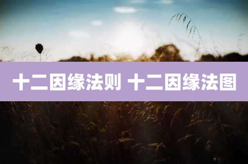 十二因缘法则 十二因缘法图