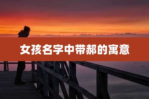 女孩名字中带郝的寓意