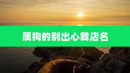 属狗的别出心裁店名