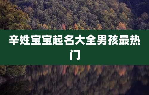 辛姓宝宝起名大全男孩最热门