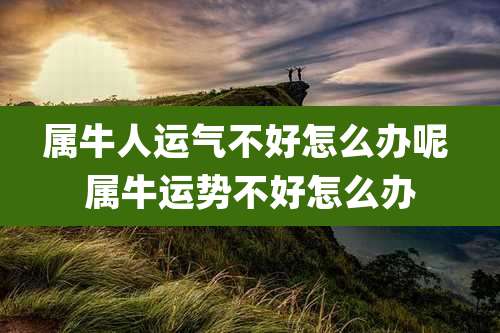 属牛人运气不好怎么办呢 属牛运势不好怎么办