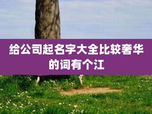 给公司起名字大全比较奢华的词有个江