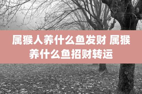 属猴人养什么鱼发财 属猴养什么鱼招财转运