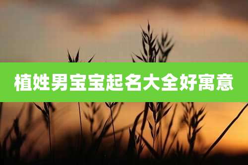 植姓男宝宝起名大全好寓意
