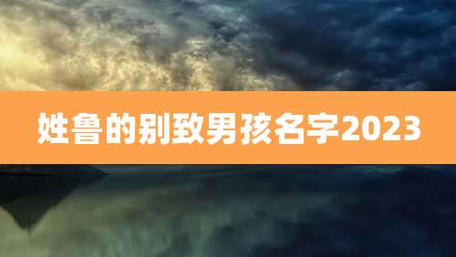 姓鲁的别致男孩名字2023