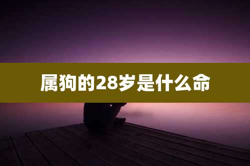 属狗的28岁是什么命