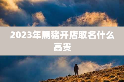 2023年属猪开店取名什么高贵