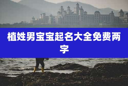 植姓男宝宝起名大全免费两字