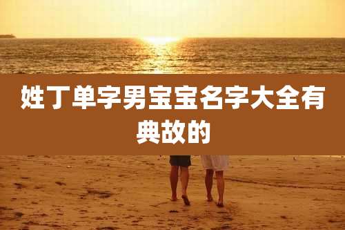 姓丁单字男宝宝名字大全有典故的