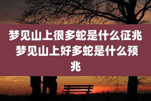 梦见山上很多蛇是什么征兆 梦见山上好多蛇是什么预兆