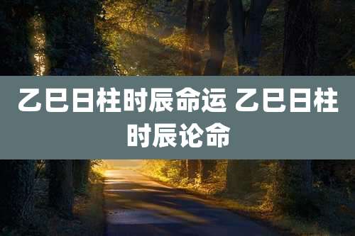 乙巳日柱时辰命运 乙巳日柱时辰论命