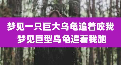 梦见一只巨大乌龟追着咬我 梦见巨型乌龟追着我跑