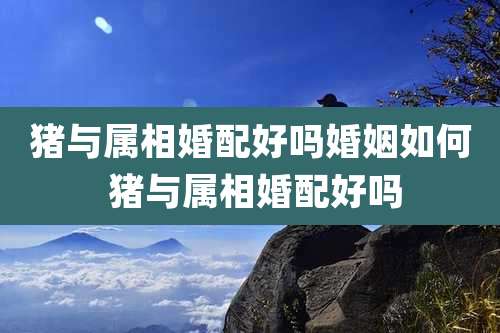 猪与属相婚配好吗婚姻如何 猪与属相婚配好吗