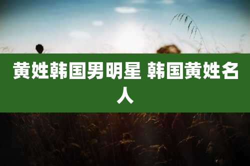 黄姓韩国男明星 韩国黄姓名人