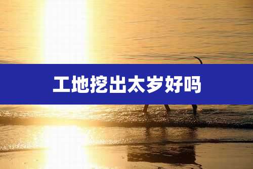 工地挖出太岁好吗