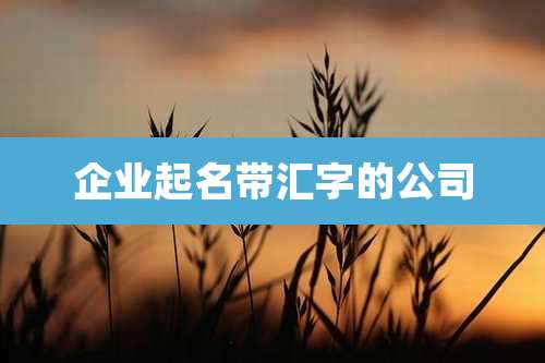 企业起名带汇字的公司