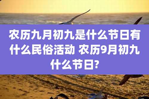 农历九月初九是什么节日有什么民俗活动 农历9月初九什么节日?