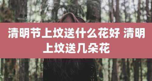 清明节上坟送什么花好 清明上坟送几朵花