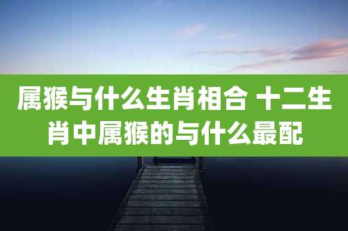 属猴与什么生肖相合 十二生肖中属猴的与什么最配