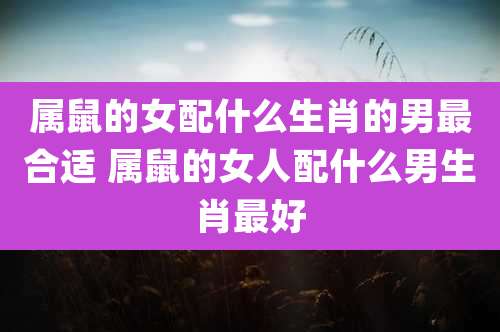 属鼠的女配什么生肖的男最合适 属鼠的女人配什么男生肖最好