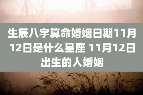 生辰八字算命婚姻日期11月12日是什么星座 11月12日出生的人婚姻
