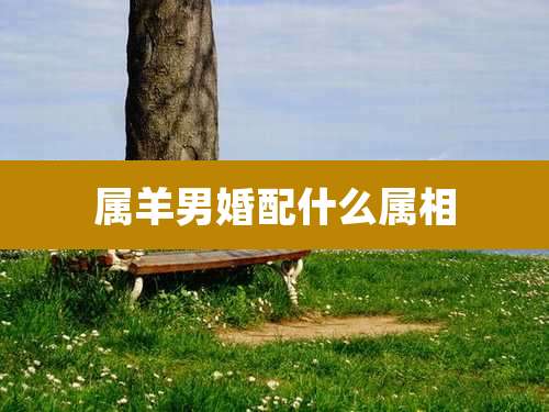 属羊男婚配什么属相