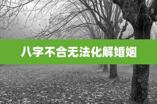八字不合无法化解婚姻