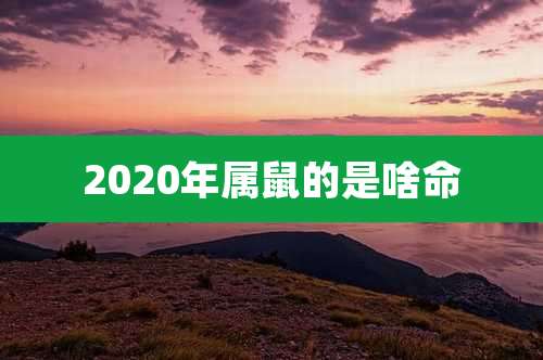 2020年属鼠的是啥命