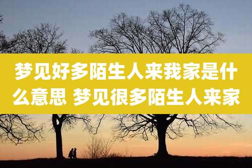 梦见好多陌生人来我家是什么意思 梦见很多陌生人来家