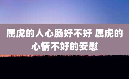 属虎的人心肠好不好 属虎的心情不好的安慰
