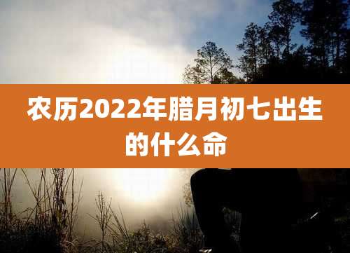 农历2022年腊月初七出生的什么命