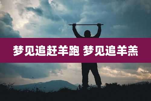 梦见追赶羊跑 梦见追羊羔