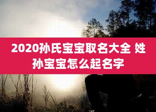 2020孙氏宝宝取名大全 姓孙宝宝怎么起名字