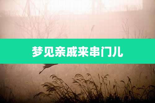 梦见亲戚来串门儿