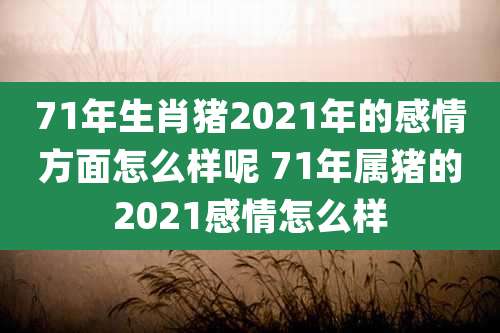 71年生肖猪2021年的感情方面怎么样呢 71年属猪的2021感情怎么样